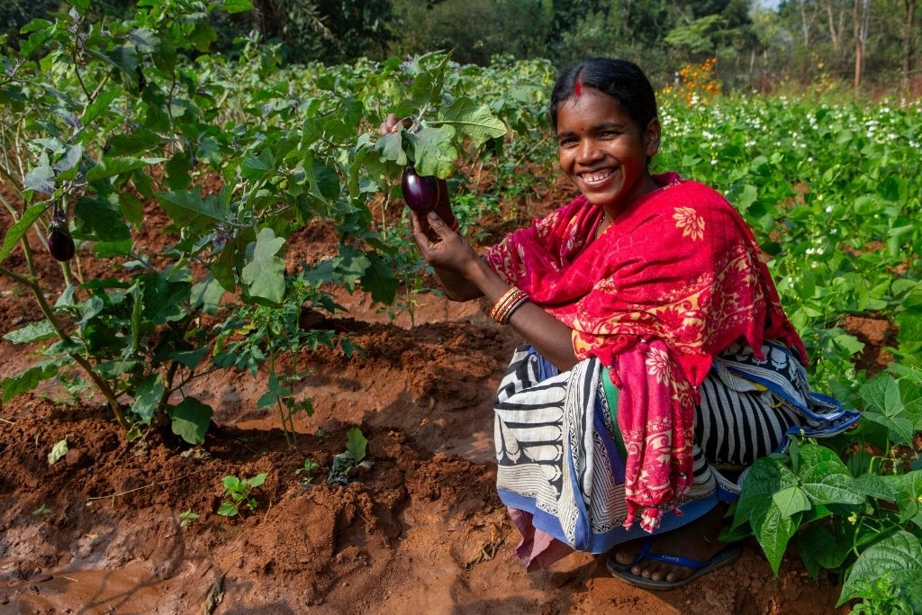 IRCDS Strengthens Sustainable Livelihoods for Smallholder Farmers